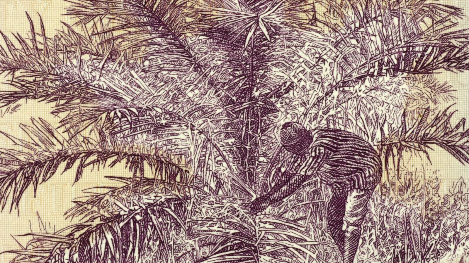Palm