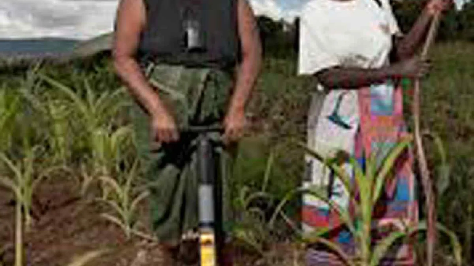 African women in agriculture