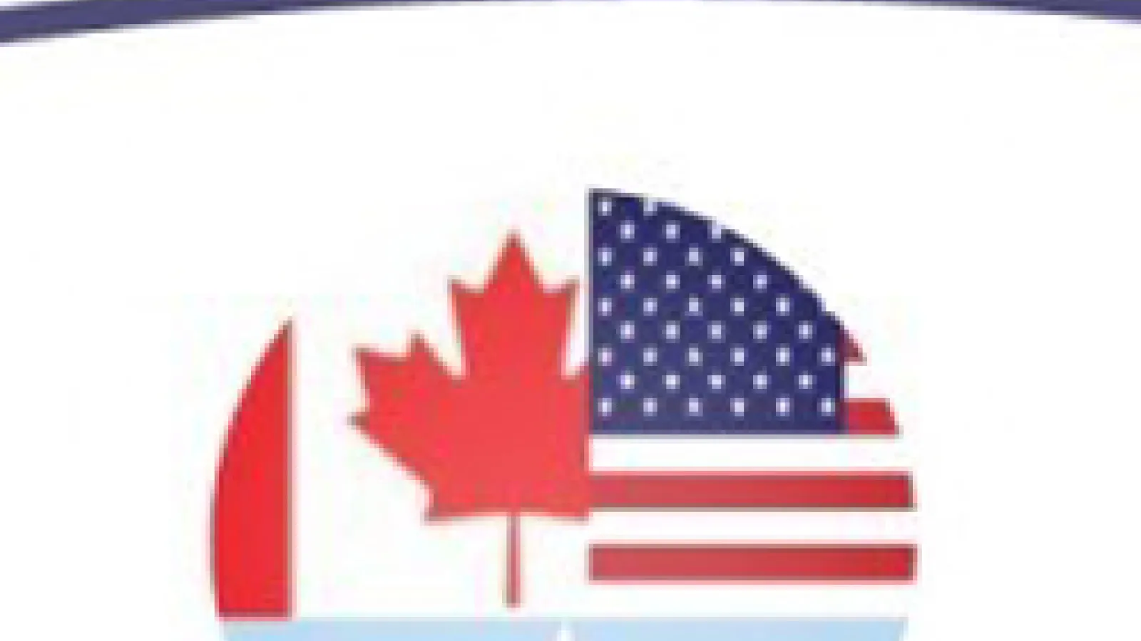 Somali Diaspora Youth Conference logo
