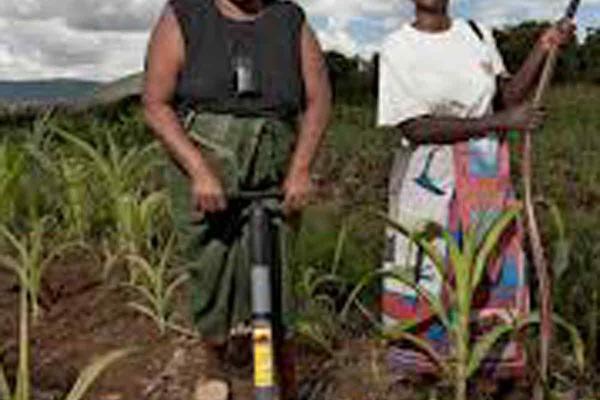 African women in agriculture African women in agriculture